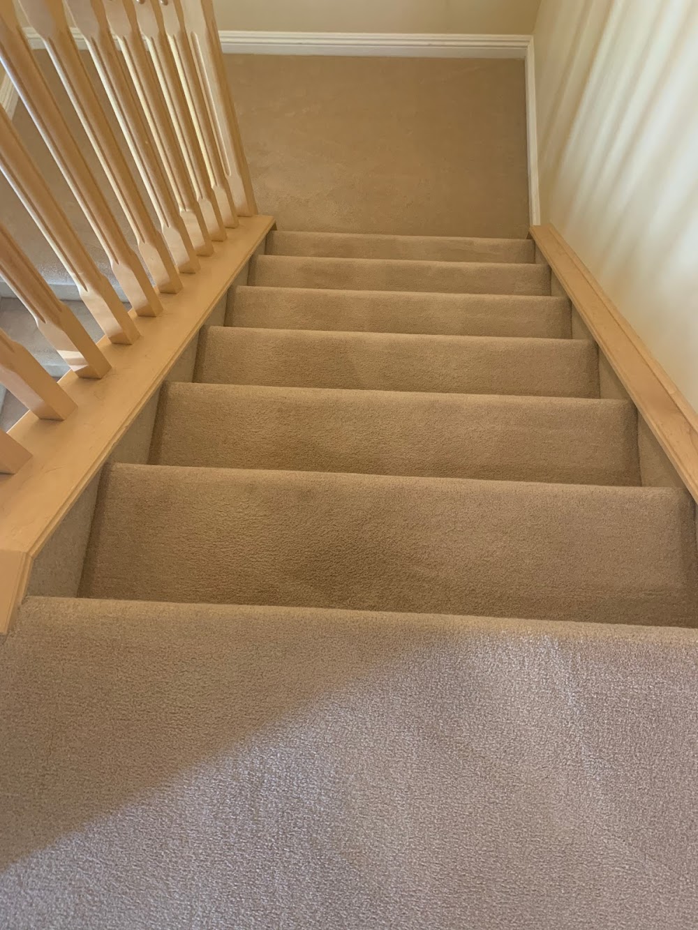 Al-Care Carpet & Upholstery Cleaning Inc