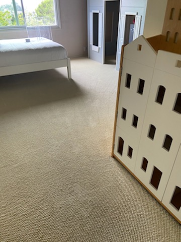 Blue Team Carpet & Furnace Cleaning of Edmonton