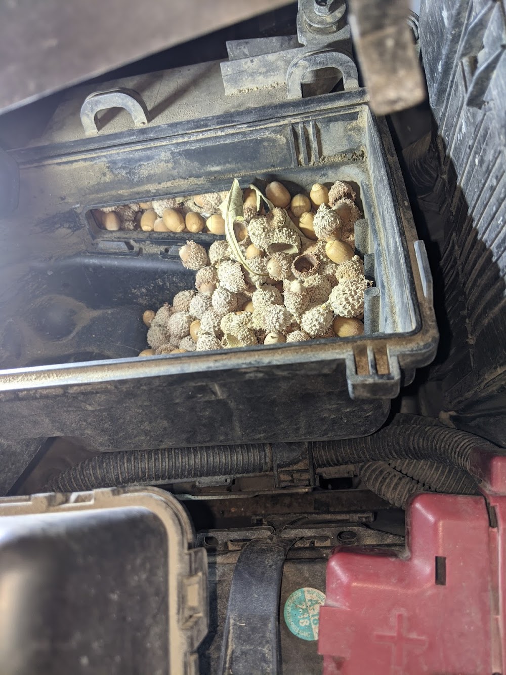 Bruce Stewart’s Auto Repair Centre