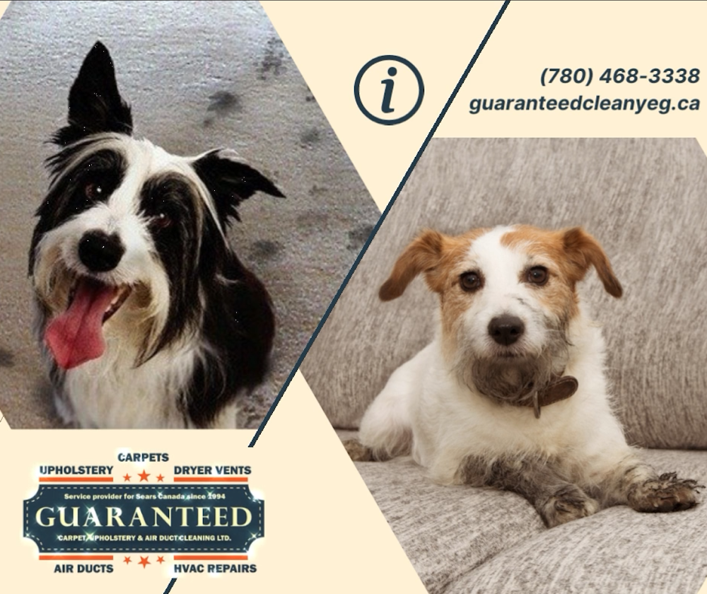 Guaranteed (Sears Canada since 1994) Carpet Upholstery & Air Duct Cleaning