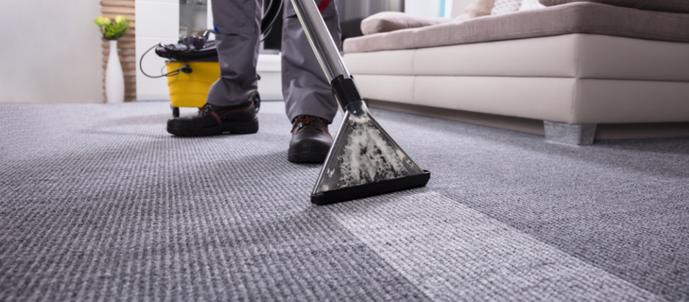 Maple Leaf Carpet Cleaning