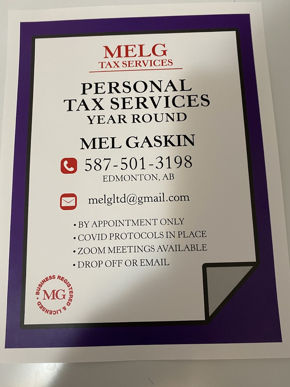 MelG Tax Services