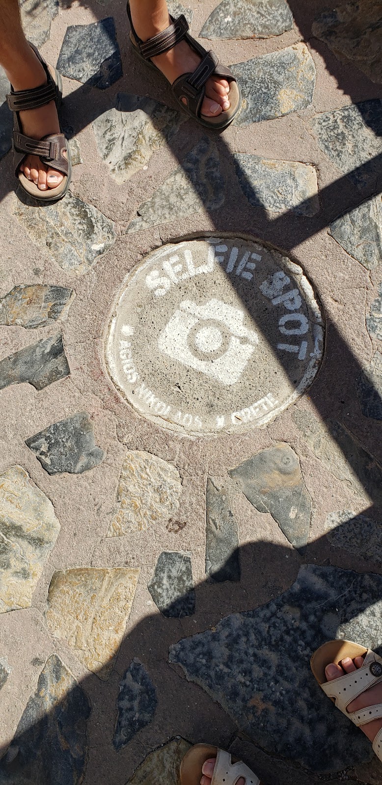 Shelley Orvold Desjardins Insurance Agent