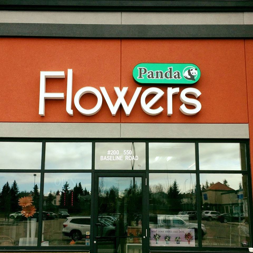 Sherwood Panda Flowers – Sherwood Park Florist