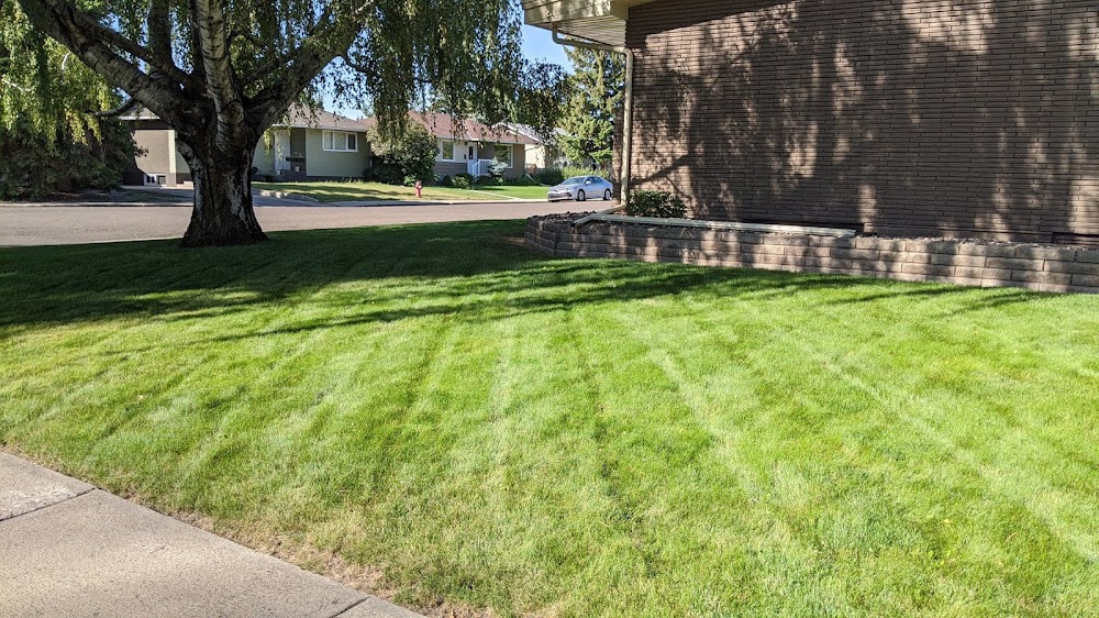 All Seasons Property Services