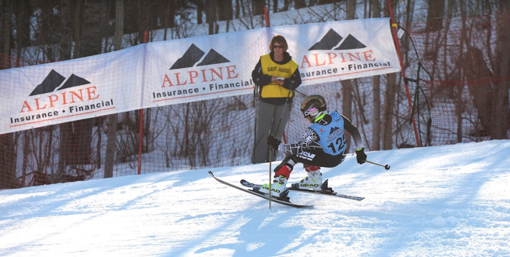 Alpine Insurance & Financial Inc