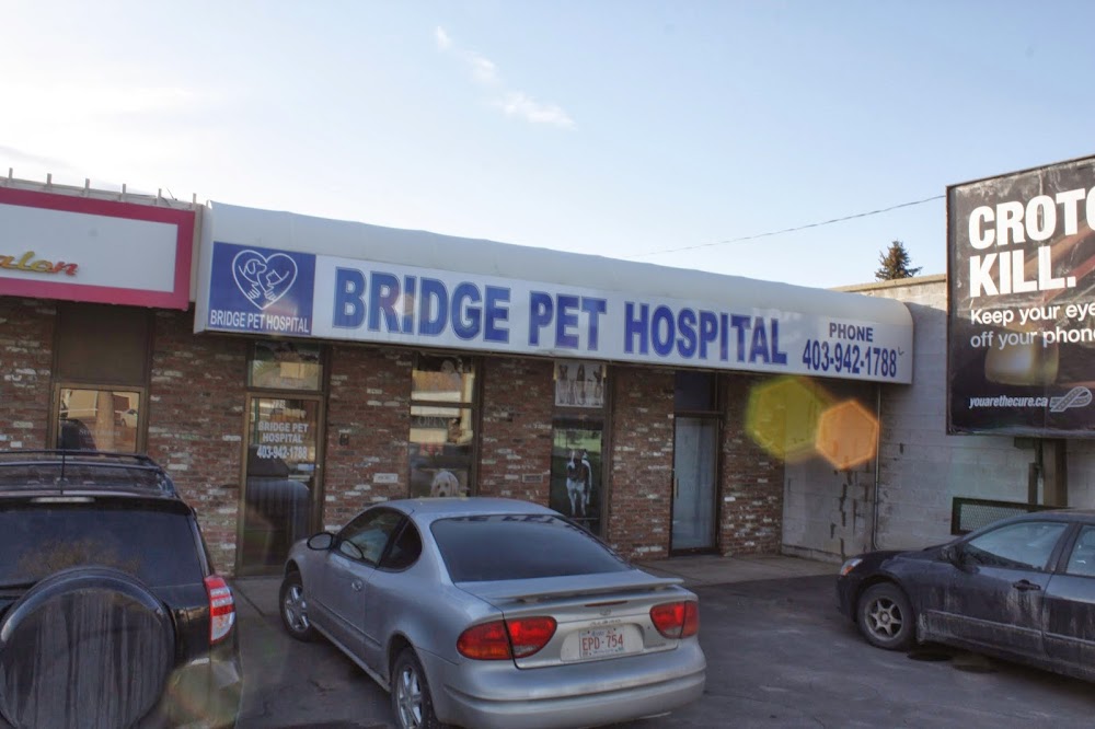 Bridge Pet Hospital