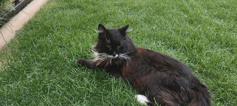 Coulee Veterinary Clinic