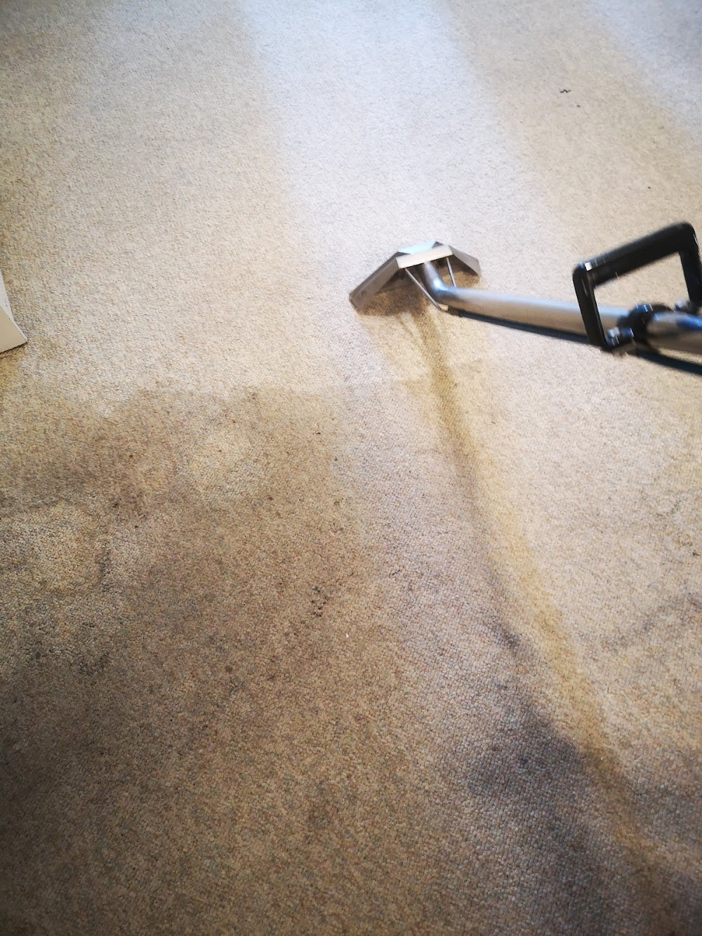 Dan’s L.A. Carpet Cleaning