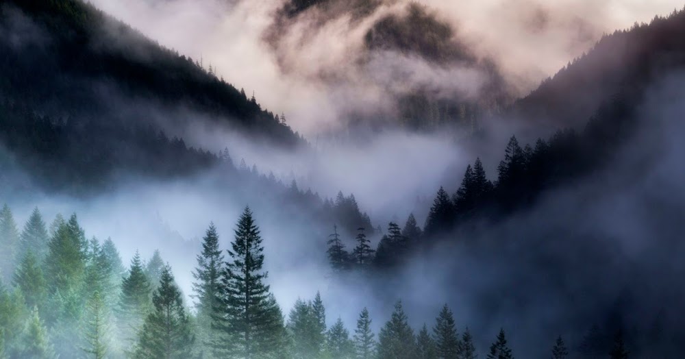 Dynamic Balance Massage Therapy