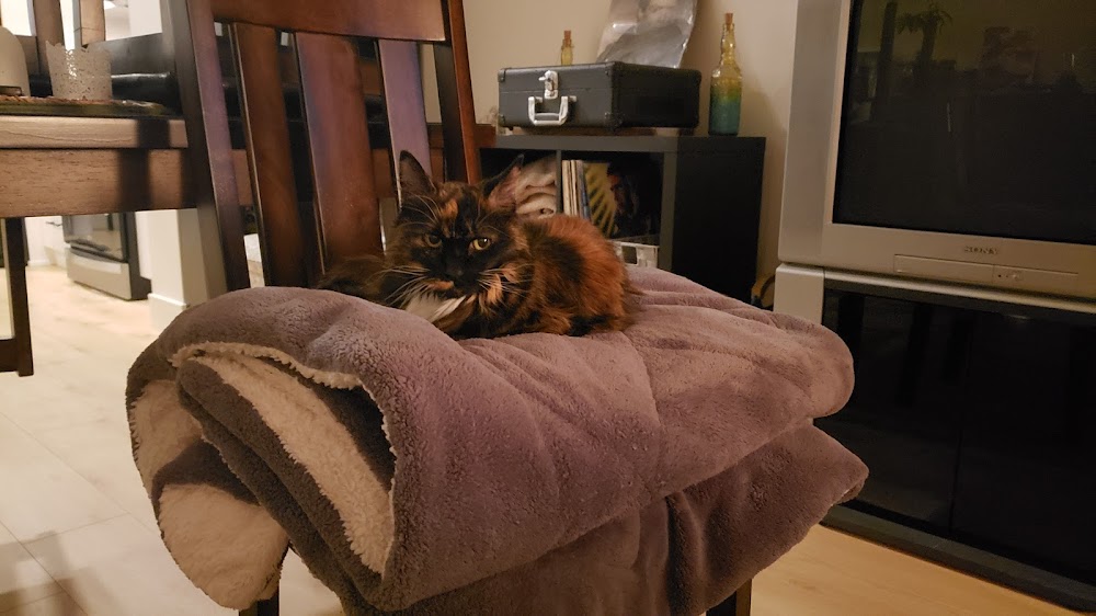 Highlands Pet Hospital