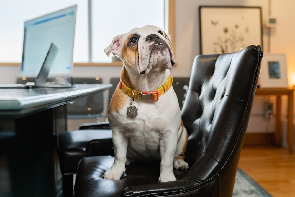 Modern Sage Legal Services