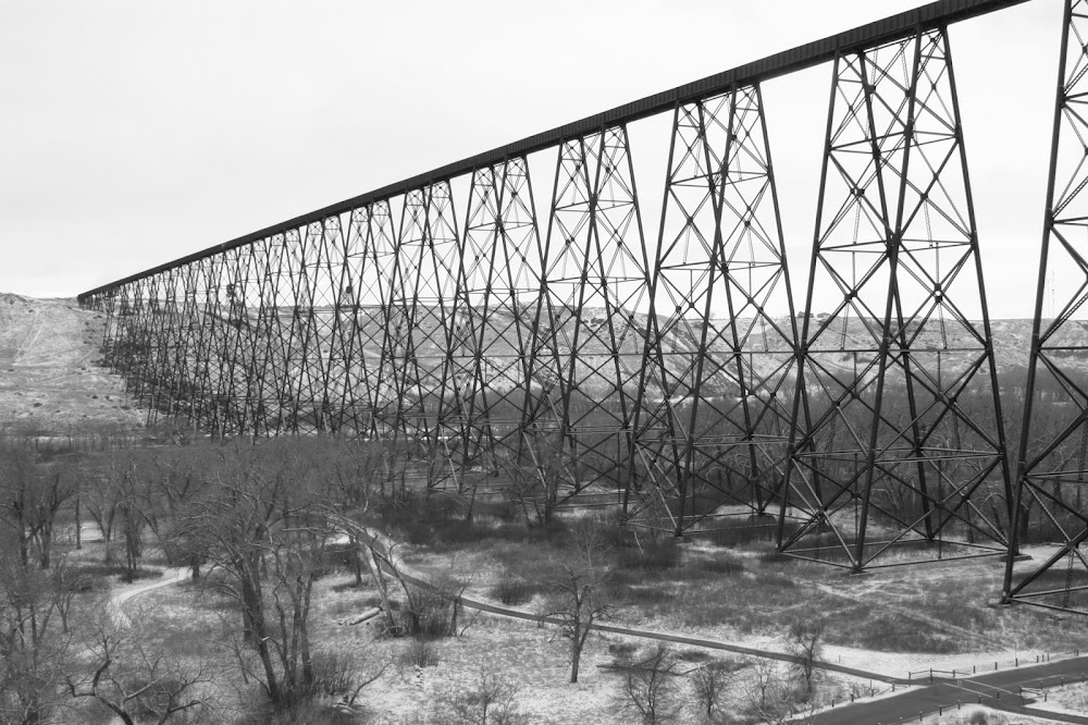 sutton group – lethbridge