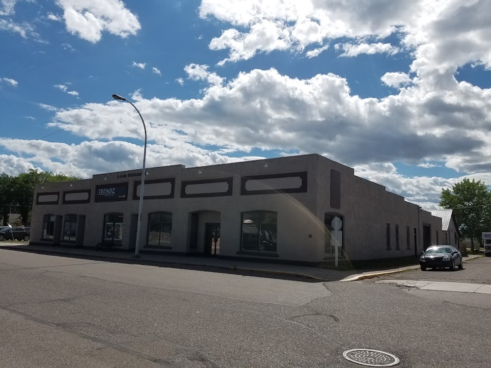 Trendz Salon & Spa Inc