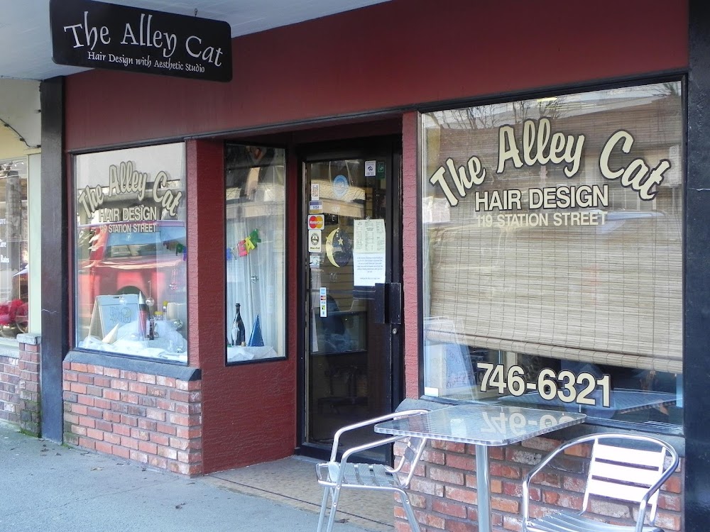 Alley Cat Hair Design The