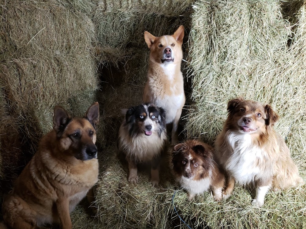 Anicare Veterinary Hospital Saanichton