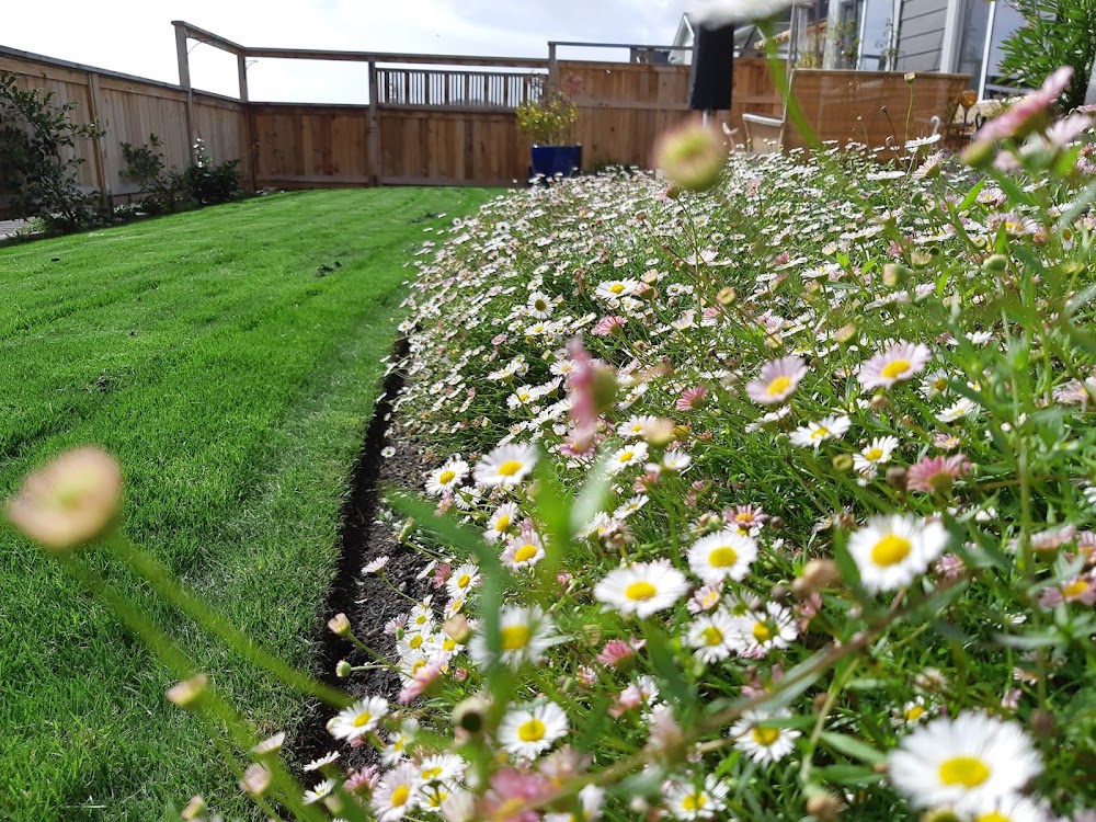 Armand Landscaping and Masonry