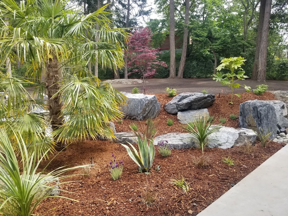 Blue Meadow Landscaping Ltd