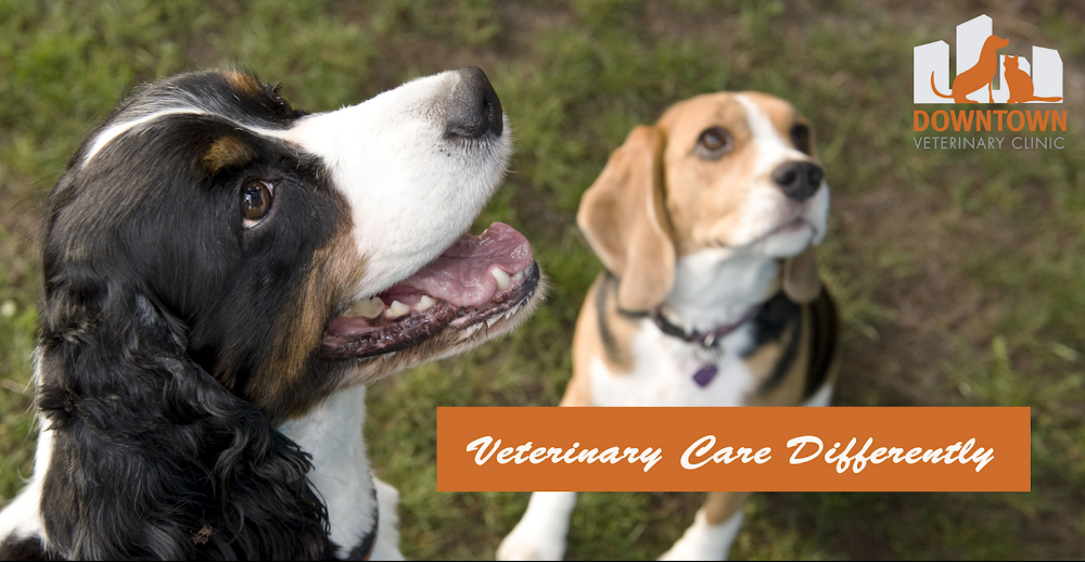 Downtown Veterinary Clinic