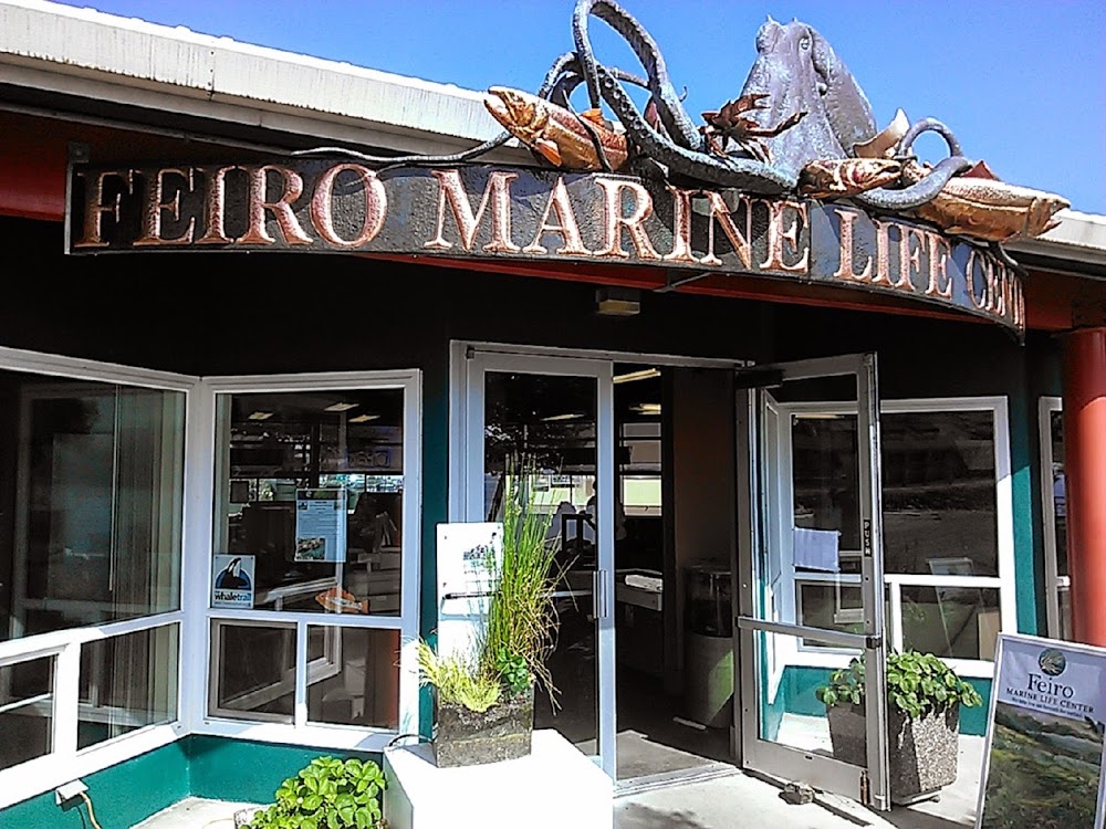 Feiro Marine Life Center