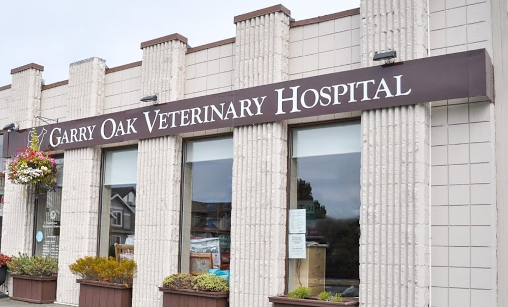 Garry Oak Veterinary Hospital