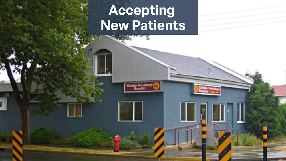 Hillside Veterinary Hospital