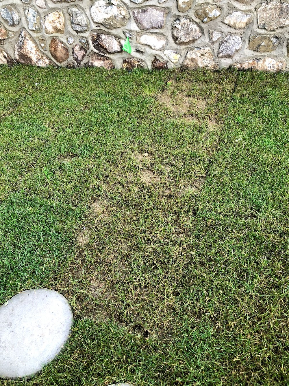 IslandEarth Landscape Services