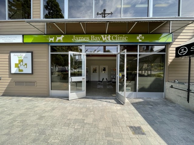 James Bay Veterinary Clinic