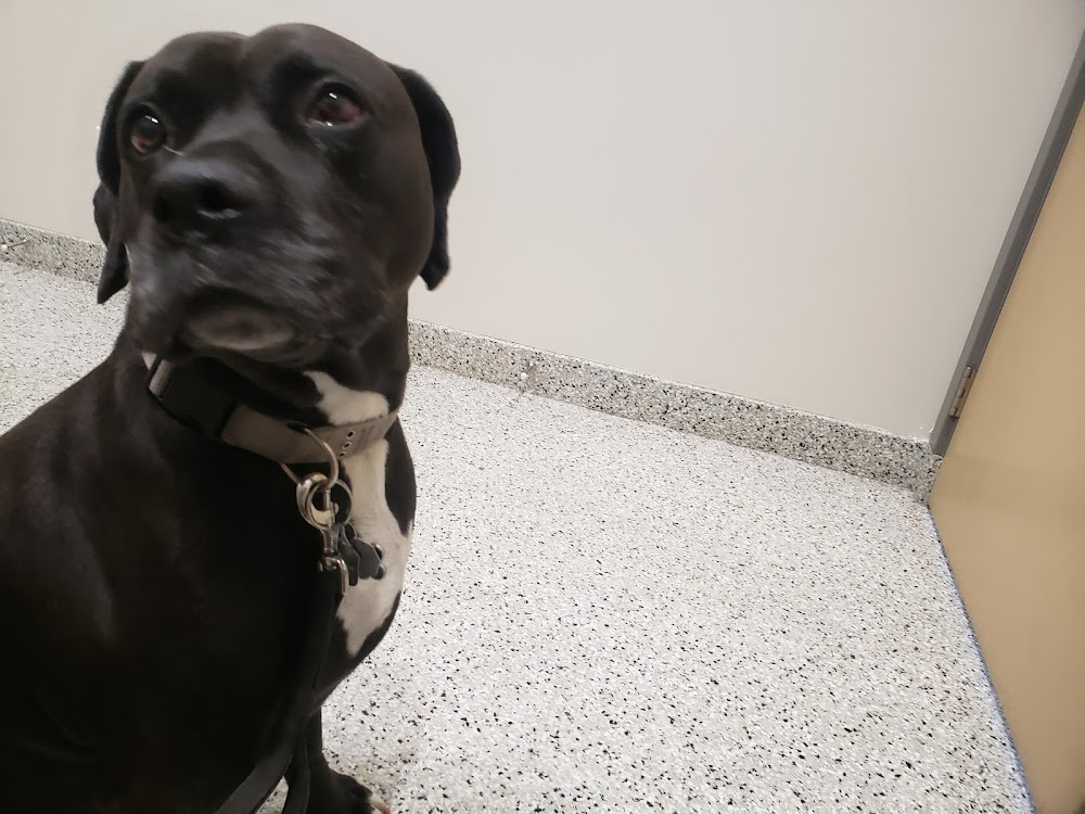 Kinsol Veterinary Clinic