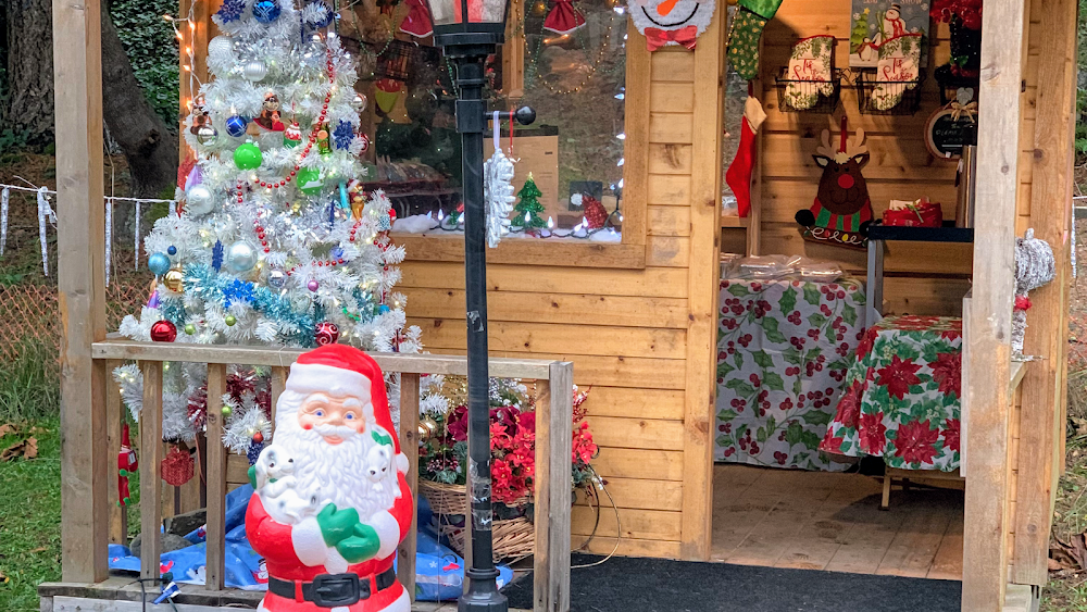 Lani’s Baking Adventures