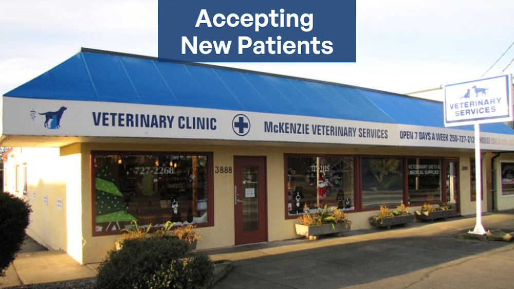 McKenzie Veterinary Services