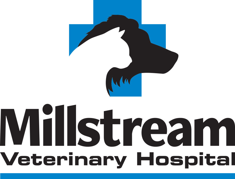 Millstream Veterinary Hospital