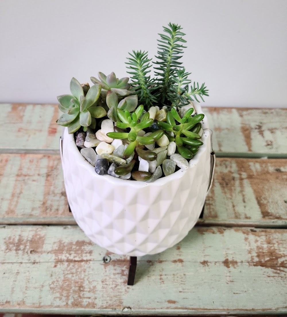 Petals Plus Floral Design