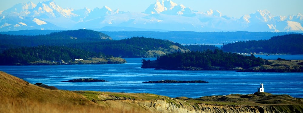 Safe Harbor Insurance