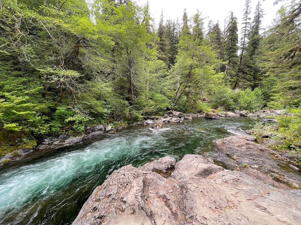 Salmon Cascades