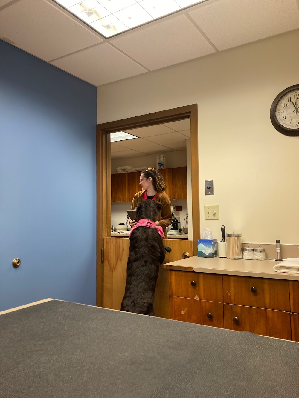 Sequim Animal Hospital