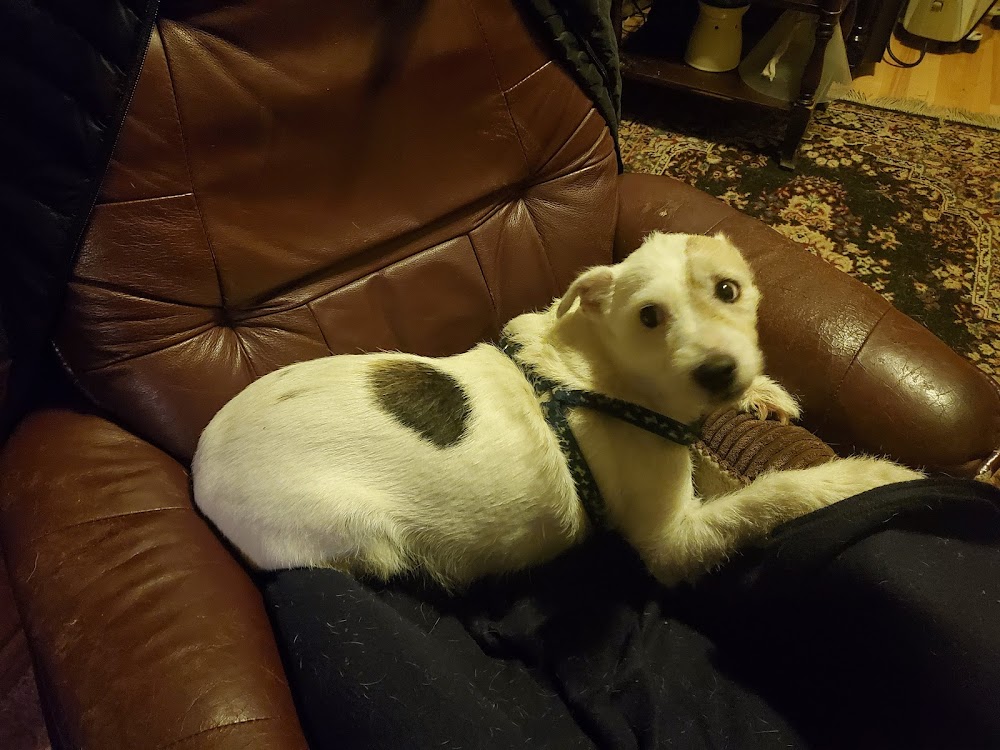 Sooke Veterinary Hospital