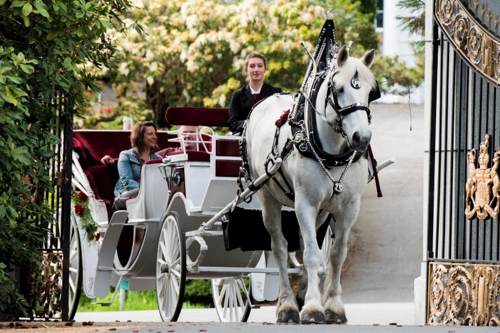 Tally-Ho Carriage Tours