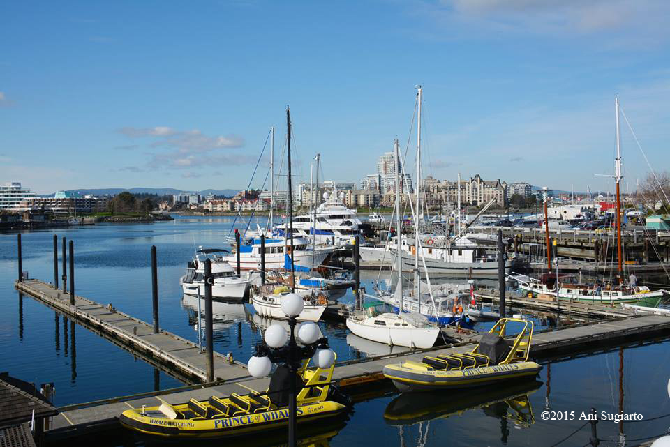 Tegan Tang Notary Services