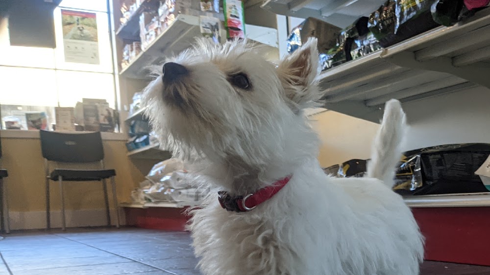 Thetis Heights Veterinary Clinic