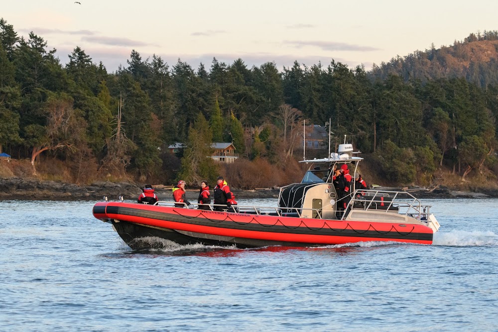 Western Prince Whale Watching Adventures