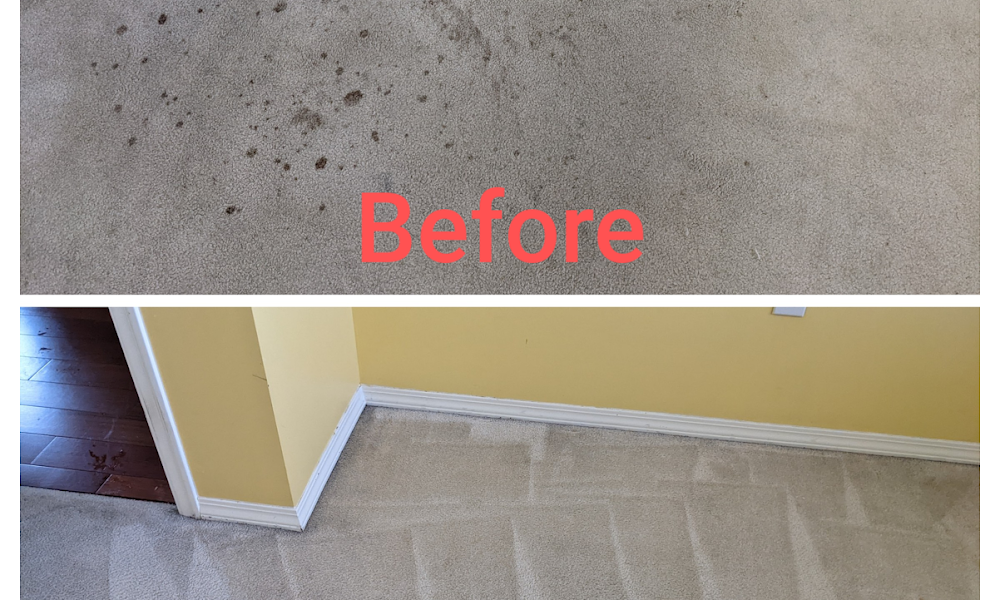 Cactus Carpet Care Ltd.