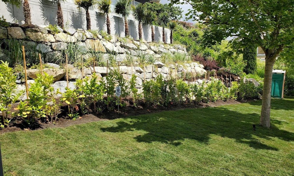 EDGE. Landscaping & Garden Maintenance