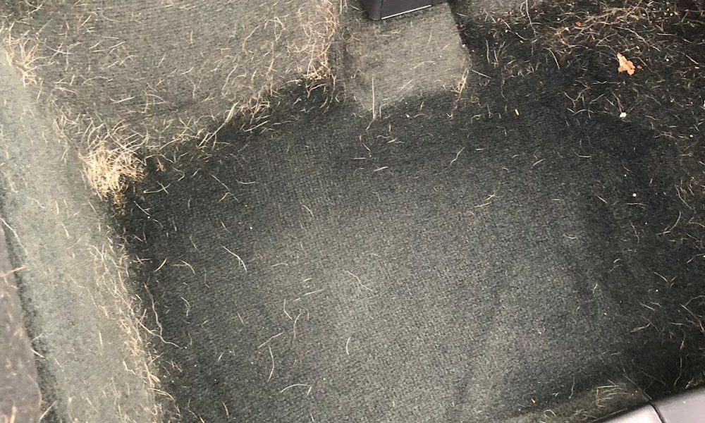 One Classic Auto Detailing Shop