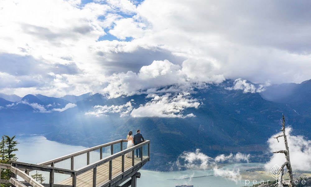 Pear Tree Photography