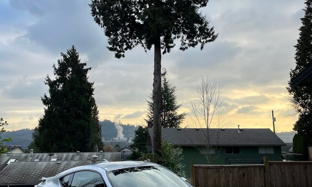 Senior Bro Auto Detailing