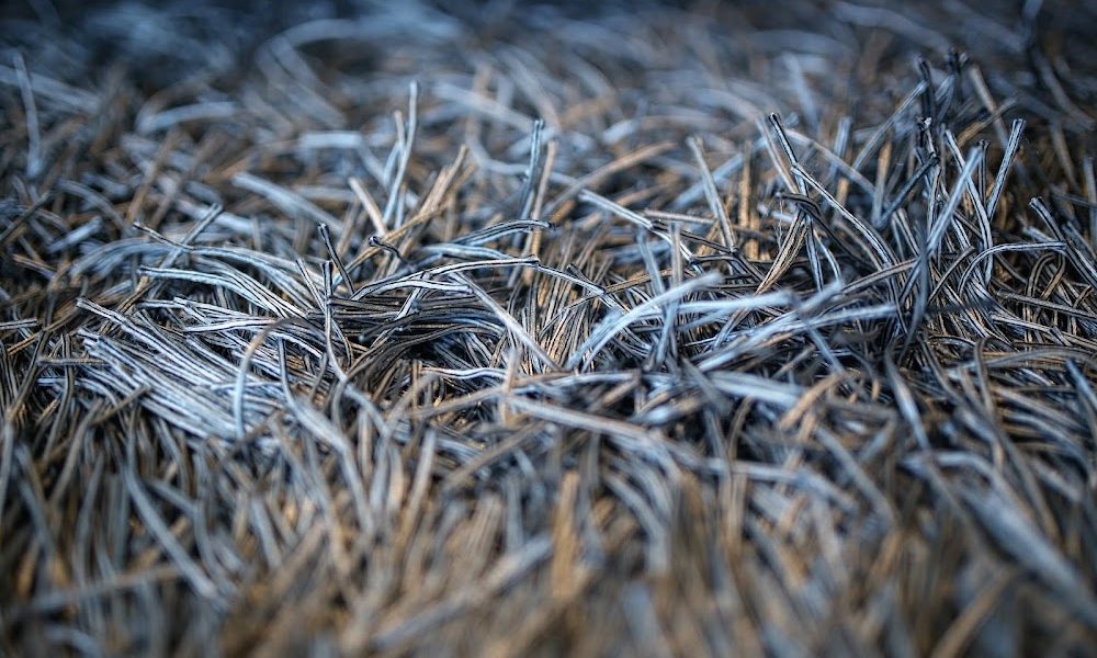 Shine Carpet Cleaning