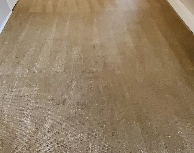 Smithwerks Burnaby Carpet and Upholstery Cleaning