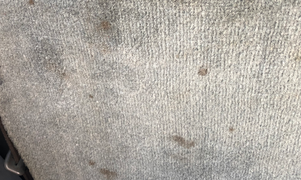 SteamTech Auto Spa: Mobile steam car Detailing vancouver