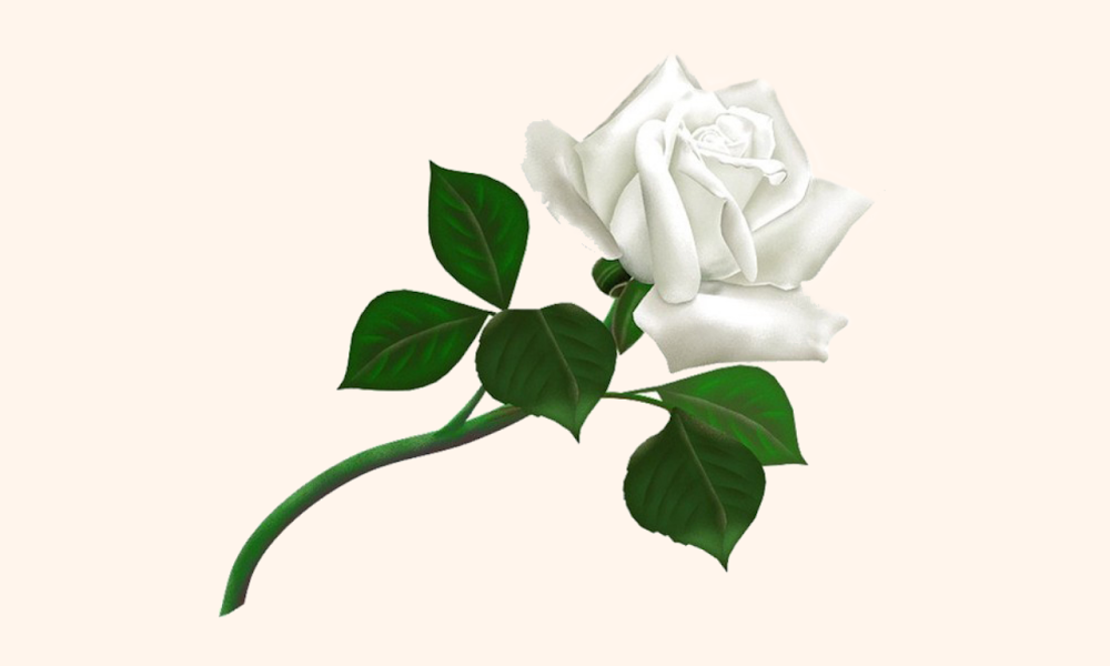 White Rose Tax & Accounting Services